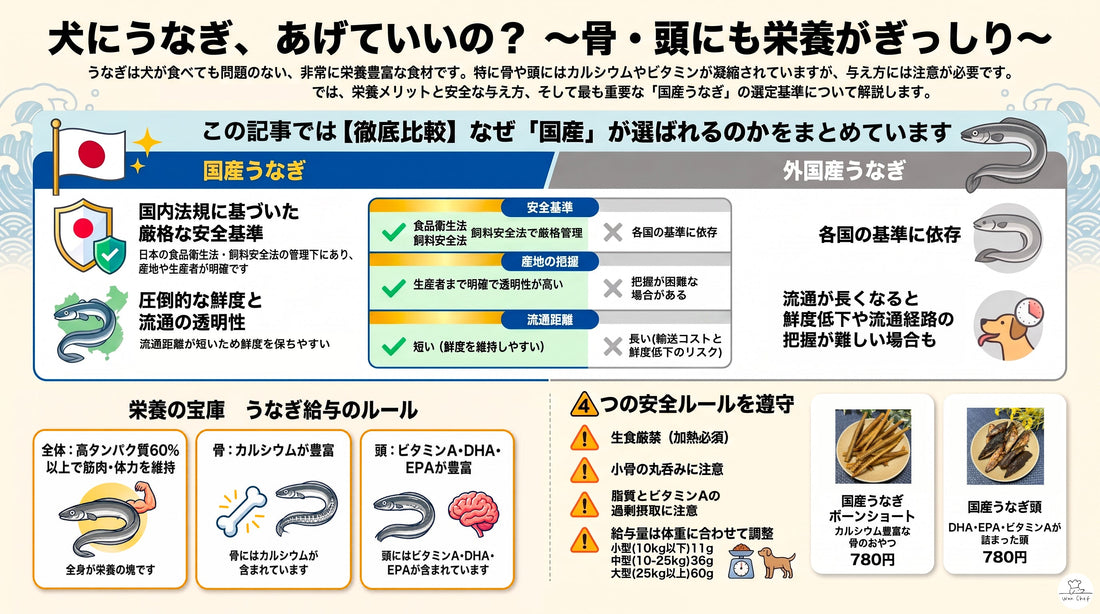 犬にうなぎは与えていい？国産うなぎおやつの栄養と安心な与え方ガイド