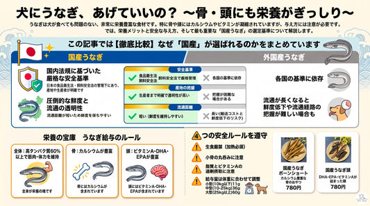 犬にうなぎは与えていい？国産うなぎおやつの栄養と安心な与え方ガイド