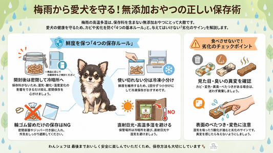 梅雨に気をつけたい犬のおやつ保存方法｜カビ・劣化を防ぐ正しい管理術