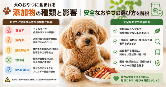 犬のおやつに含まれる添加物の種類と影響｜安全なおやつの選び方を解説