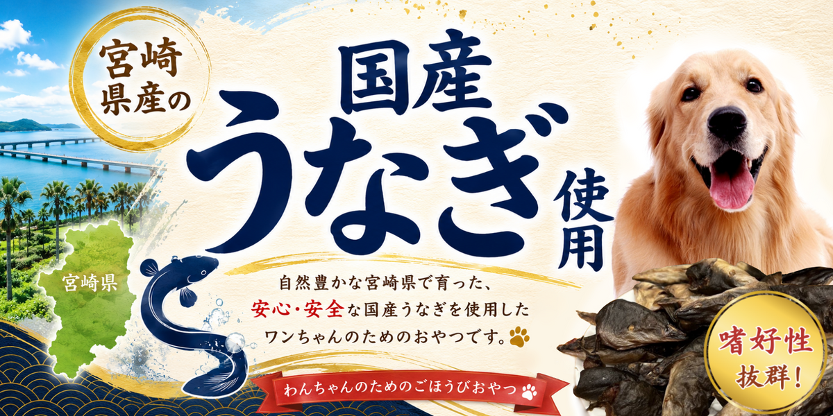一年に一度の土用の丑の日<br>いつも癒してくれる愛犬にも<br><strong>ありがとう</strong>の気持ちをこめて<br>特別なごちそうを贈りませんか？✨