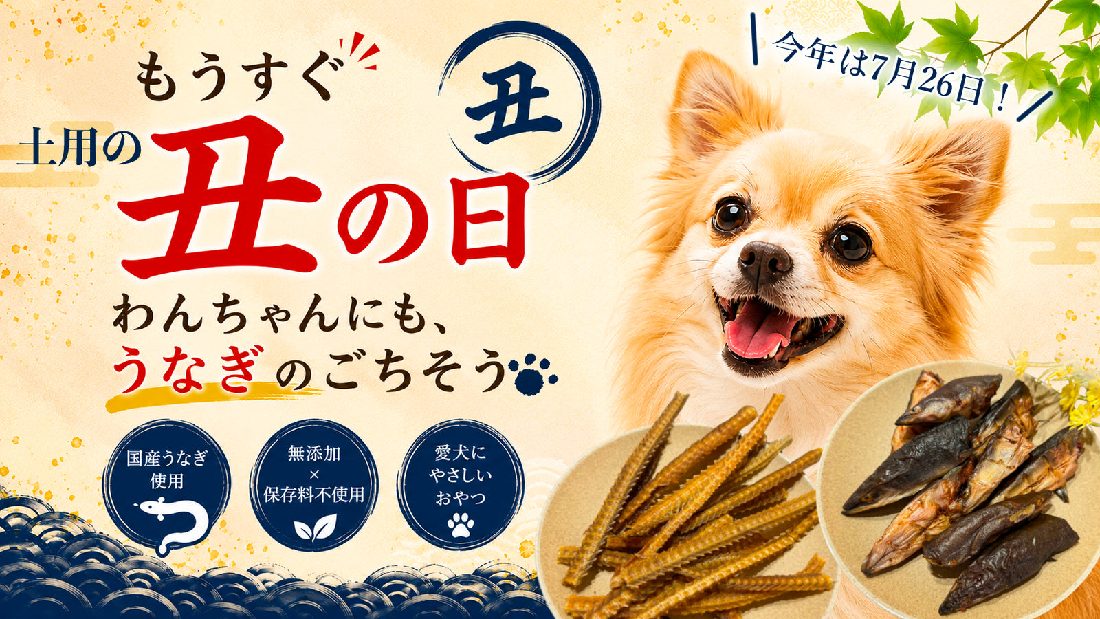 土用の丑の日わんちゃんにもうなぎのごちそう