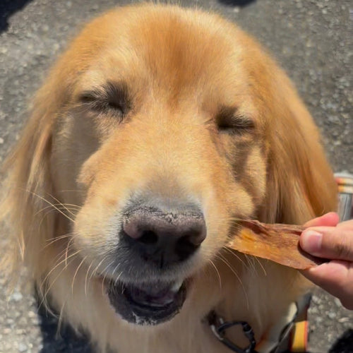 犬用おやつ ボラの白子 無添加 50g