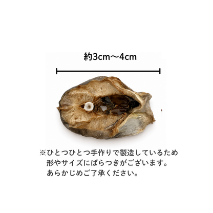 犬用おやつ 国産鱧ビッツ 無添加 50g